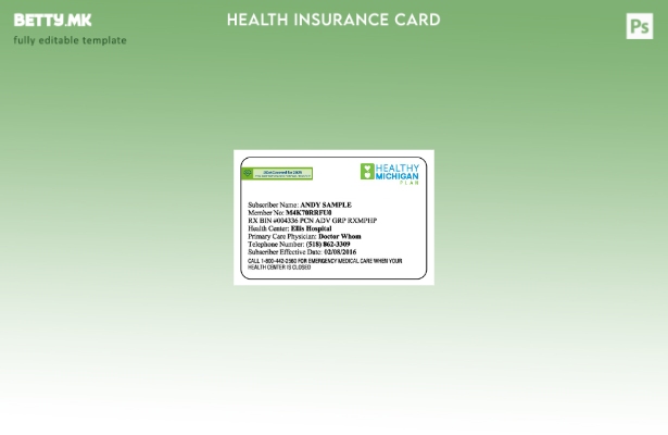 Модерен стил Шаблон за картичка за здравствено осигурување во Мичиген